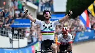 Peter Sagan - All stages won in the Tour de France