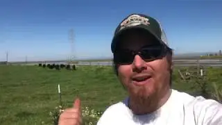 Pasture Aeration Conclusion