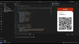How To Use Bakong-KHQR Package In Python (Version 2)