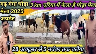 Garh Ganga Horse Fair Update 2025. Thousands of horses are ready for sale on the banks of Garh Ganga. Garh Ganga Mela 2025
