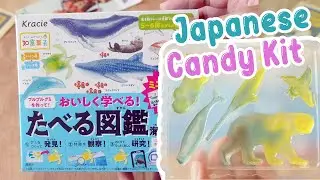 Japanese Jelly Candy Making Kit Taberu Zukan | Play and Learn Sea Animals