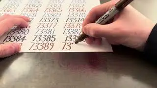 Writing #73390