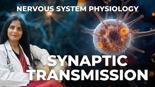 SYNAPTIC TRANSMISSION-1/2