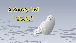 A Snowy Owl