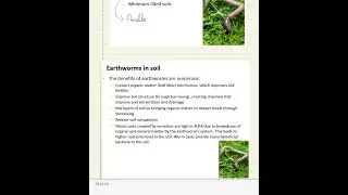 Importance of Earthworms