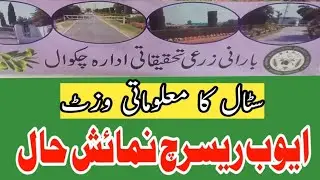 Barani #Agricultural Research Institute Chakwal Stall's Visit at #AARI Exhibition Hallبارانی چکوال