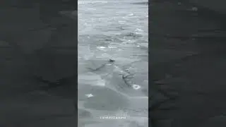 Frozen Blind Lake Skardu #shortsvideo