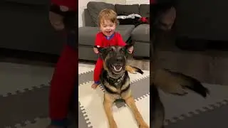 Dogs and children are forever best friends #dog #dogs #pet #doglover #cute #baby #friends