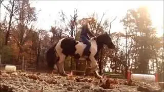 Tackless Riding
