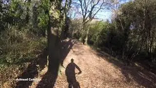 Box Hill, Ashtead Common, White Down