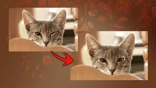 Copy paste of eye on another side in Photoshop|| RAD Graphics ||  # graphics #video #editing 