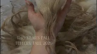 This Years Fall Fleeces | Fall 2025