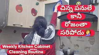 Indian Housewife Weekly Kitchen Cabinet Cleaning Routine | Paneer Dum Biryani Recipe in Telugu