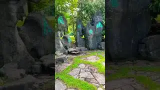 Just walking around. #walking #walkingaround #walkingtour #walkingvideo #green #germany #gardentour