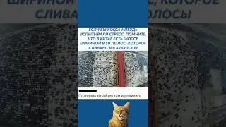 #мем #юмор #прикол