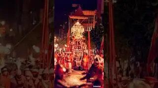 Kandy Esala Perahera #kandy #kandysrilanka #procession #perahara #elephant #shorts #trending #buddha