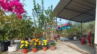 শীতের সময় প্রায় শেষ