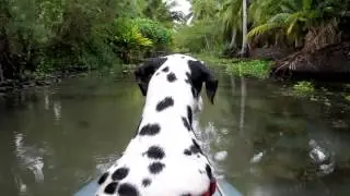 Tha Kha Floating Market
