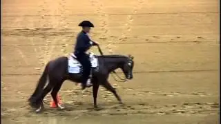 Suddenly Extreme and Chad Evans, Junior Western Riding at Congress 2015