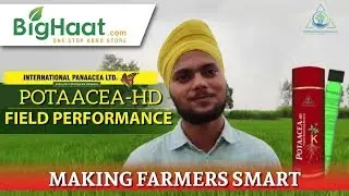 High Strength Potash Mobilizing Bacterial Bio Fertilizer | BigHaat