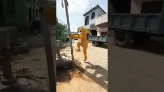 Teddy bear funny video 😂😅 #funny #crezyteddy #teddybear#teddybearcomedy #toy#funnyshortvideos#teddy