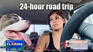 Travel VLOG | going on a 24 hour road trip with my dog