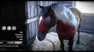 RDR2-The Earliest Time You Get a Dark Bay Andalusian Horse
