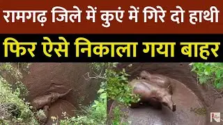 Jharkhand Ramgarh News: रामगढ़ में कुएँ में गिरे दो हाथी, रेस्क्यू ऑपरेशन के बाद ऐसे निकाला गया बाहर
