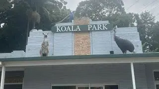 Went to Koala Park today 