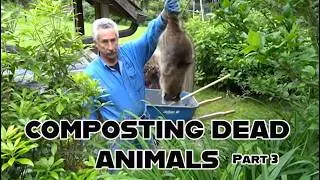 Composting Animal Mortalities, Part 3
