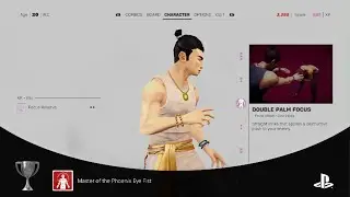 Sifu - Master of the Phoenix Eye Fist