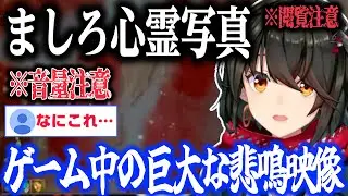 【心霊】(音量注意)ゲーム中に大きな悲鳴映像…ほか【にじさんじ/ましろ/切り抜き】