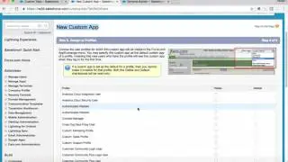 CREATING APPLICATION WITH CUSTOMIZATION IN SALESFORCE - 4