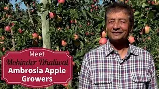 Meet Your BC Ambrosia Apple Growers - Mohinder Dhaliwal