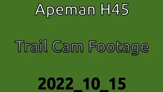 Apeman H45 Trail Cam Footage 2022_10_15