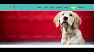 simple navigation bar in html and css for beginners | simple hover | 2018 My first video