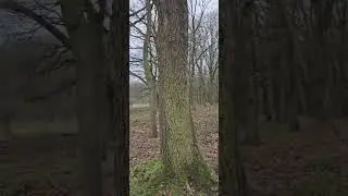 20250101 121007
