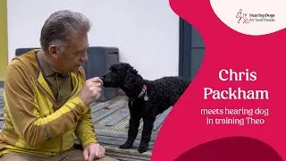 Chris Packham meets hearing dog in training Theo and his volunteer trainer, Kate