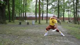 Weng Chun Wu Dip Do - The Butterfly Knifes
