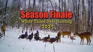 White-Tailed Deer Hunting 2025  Ep.6 - The Clock is Ticking