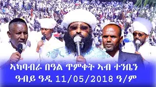 ኣካባብራ በዓል ጥምቀት ኣብ ተንቤን ዓብይ ዓዲ ,ዳስና ሚድያ,like,share,subscribe,ይግበሩ, 0946482532/0914261295