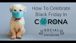 Black Friday Sale 2020 | Pet Supplies | Pet Food | Pet Toys | Pet Accessories |  Discountpetcareau