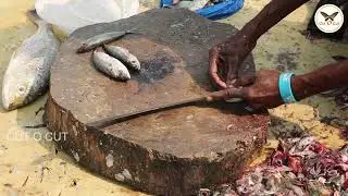 Small Fish cutting | Stylish Fish Cutting | Fish Slicing