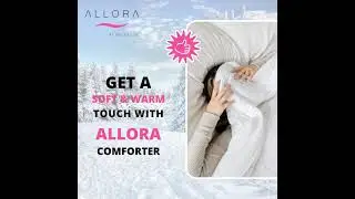 Comforter Price In Bangladesh | Buy Comforter In Bangladesh At Best Price