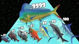 Fish Eater Evolution 3D - Level Up Fish Max Level Gameplay (New Update)