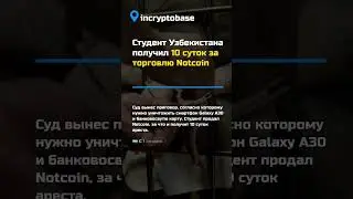 Студент Узбекистана получил 10 суток за торговлю Notcoin