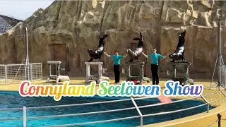 Connyland Seel&ouml;wen Show/ See Lion Show