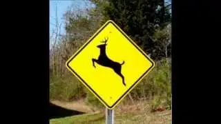 Please Move The Deer Crossing Sign. Stupid is as Stupid says!!!. Must Hear!!