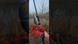Hecht angeln mit baitcaster am Graben danke ! #angeln #fishing #fishingvideo #baitcaster