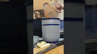 PT 2 how to make easy kimchi immunity food 80% immune system live in your gut
